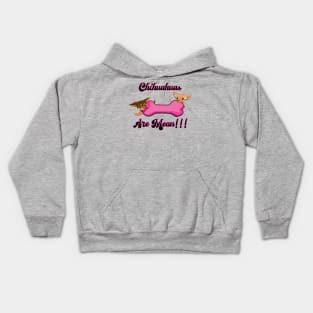 Chihuahuas are Mean!!! Kids Hoodie